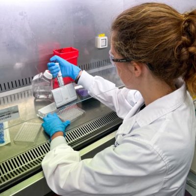 Researcher pipetting in laboratory. Image, UQ